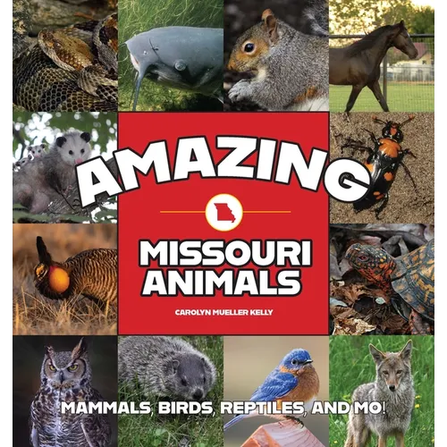 Amazing Missouri Animals