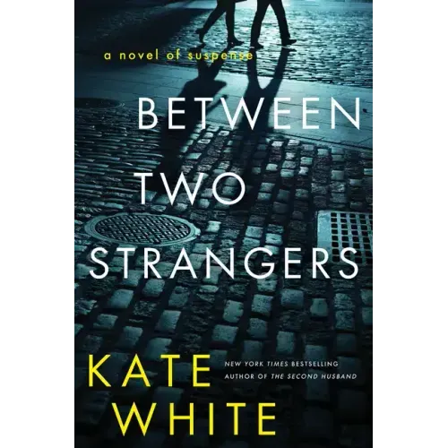 Between Two Strangers: A Novel of Suspense