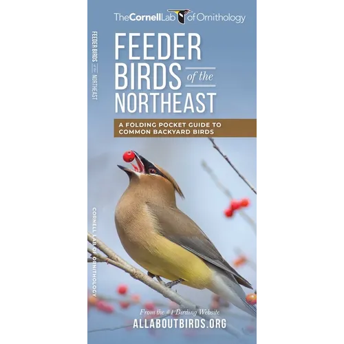 Feeder Birds of the Northeast: A Folding Pocket Guide to Common Backyard Birds