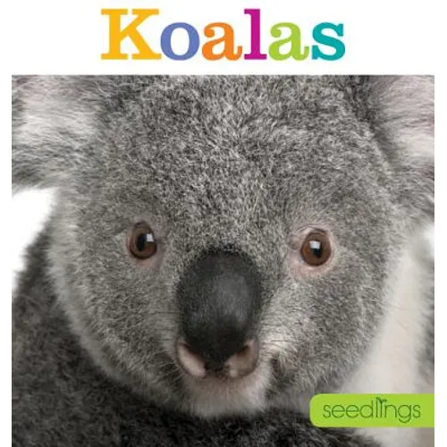 Seedlings: Koalas