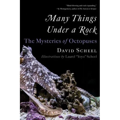 Many Things Under a Rock: The Mysteries of Octopuses