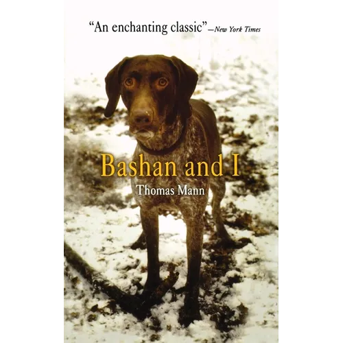 Bashan and I