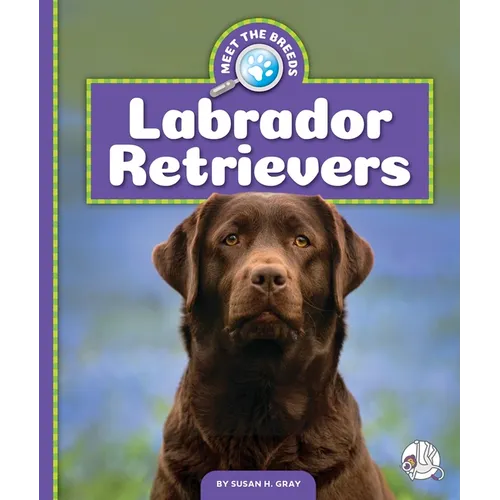 Labrador Retrievers