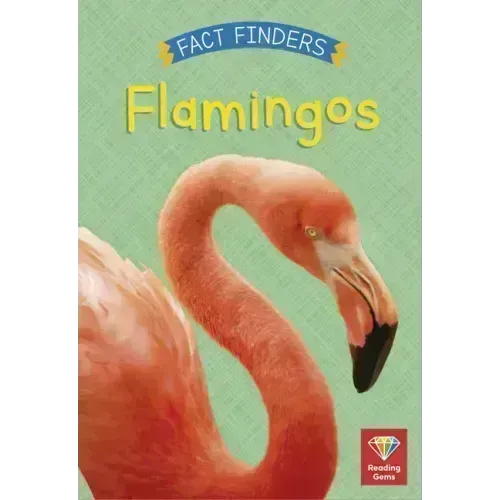 Flamingos