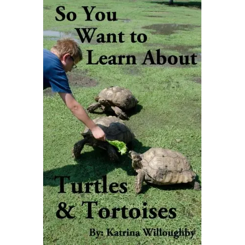 So You Want to Learn About Turtles & Tortoises