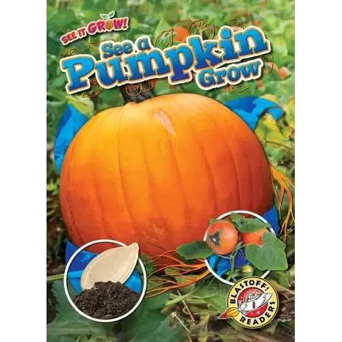 See a Pumpkin Grow