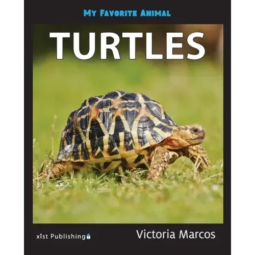 My Favorite Animal: Turtles