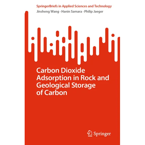 Carbon Dioxide Adsorption in Rock and Geological Storage of Carbon
