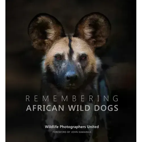 Remembering African Wild Dogs