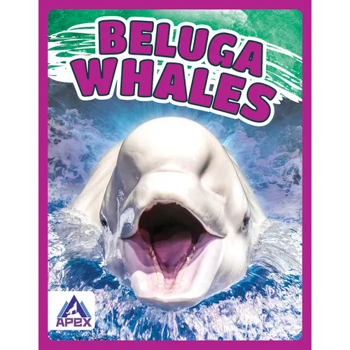 Beluga Whales