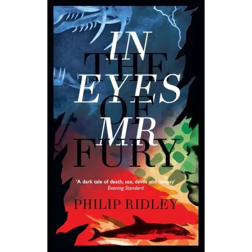 In the Eyes of Mr Fury