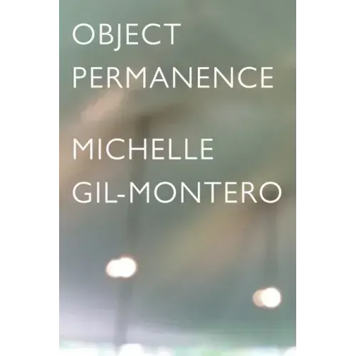 Object Permanence