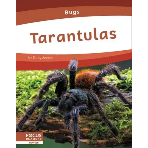 Tarantulas