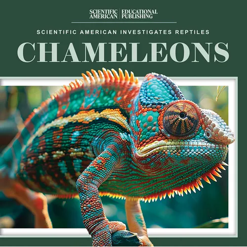 Chameleons
