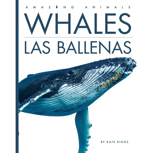 Whales / Las Ballenas