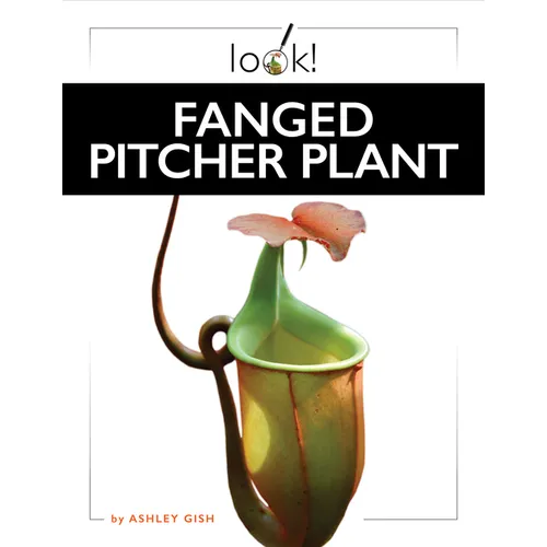 Fanged Pitcher Plant