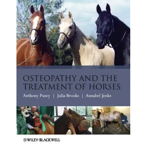 Osteopathy Treatment Horses