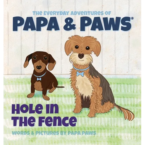 Hole in the Fence