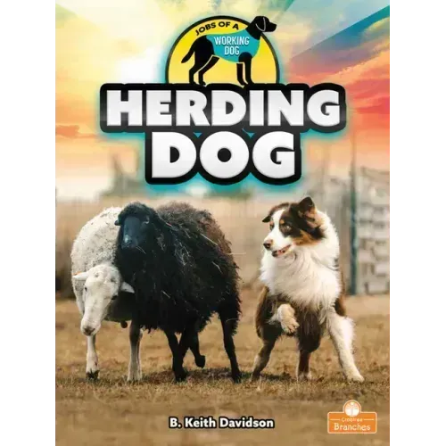Herding Dog