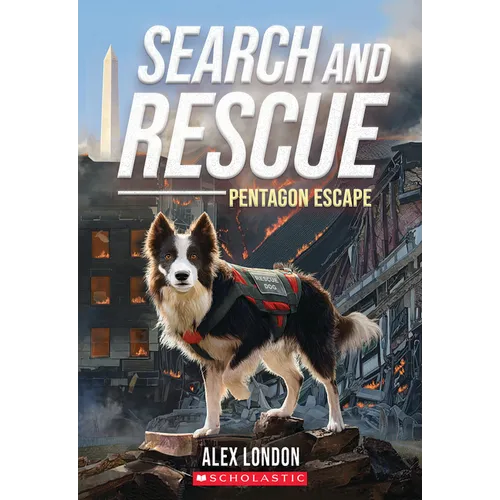 Search and Rescue: Pentagon Escape