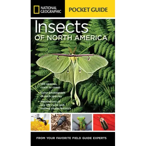 National Geographic Pocket Guide to Insects of North America: From Your Favorite Field Guide Experts