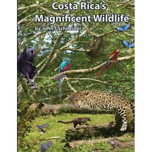 Costa Rica's Magnificent Wildlife