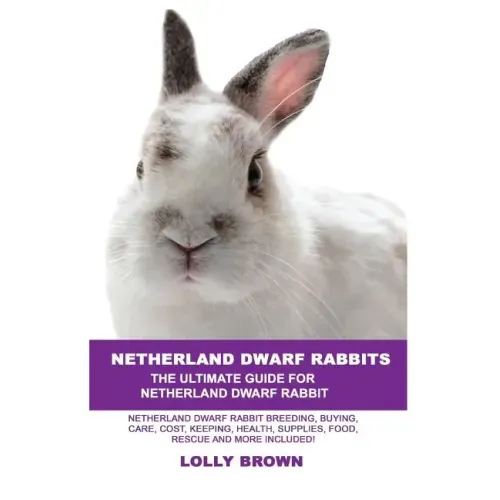 Netherland Dwarf Rabbits: Netherland Dwarf Rabbit Breeding, Buying, Care, Cost, Keeping, Health, Supplies, Food, Rescue and More Included! The U