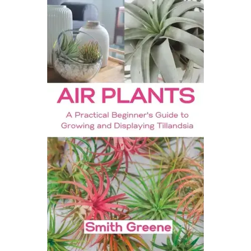Air Plants: A Practical Beginner's Guide to Growing and Displaying Tillandsia