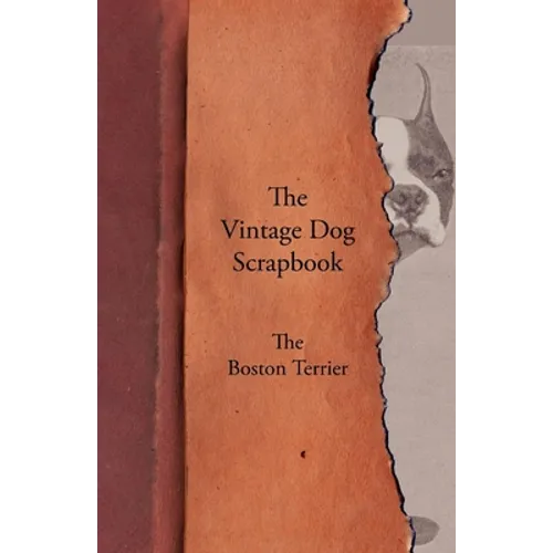 The Vintage Dog Scrapbook - The Boston Terrier