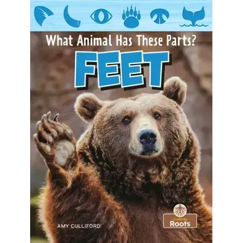 Feet
