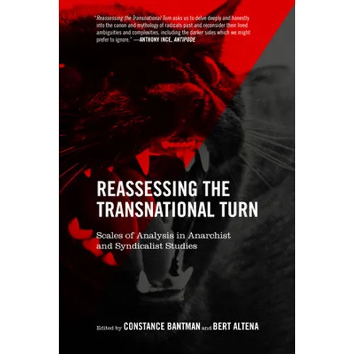 Reassessing the Transnational Turn: Scales of Analysis in Anarchist and Syndicalist Studies