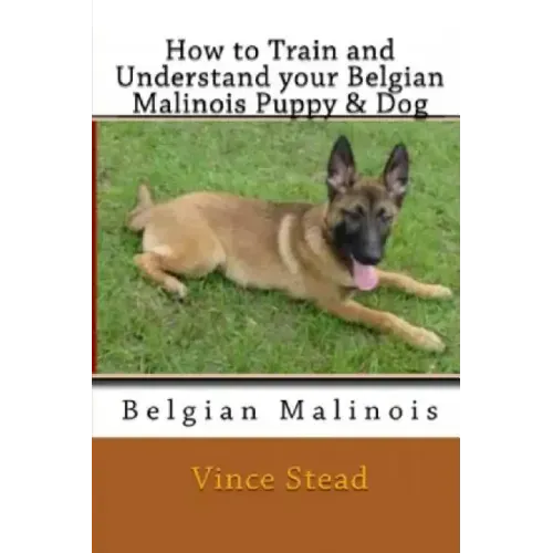 How to Train and Understand Your Belgian Malinois Puppy & Dog