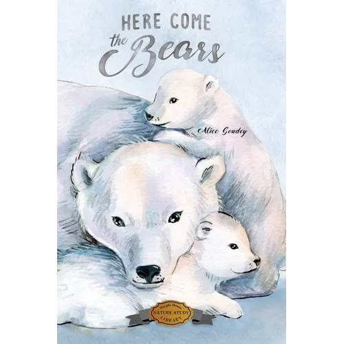 Here Come the Bears
