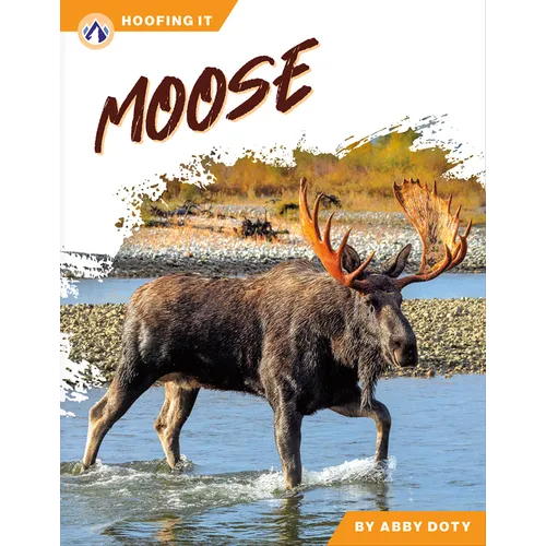 Moose