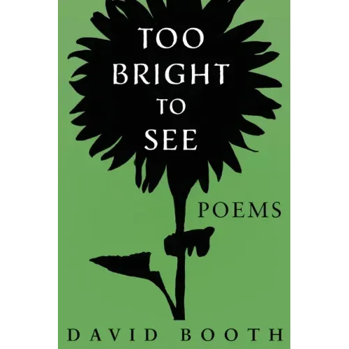 Too Bright to See