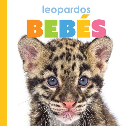 Leopardos Bebés - Library Binding