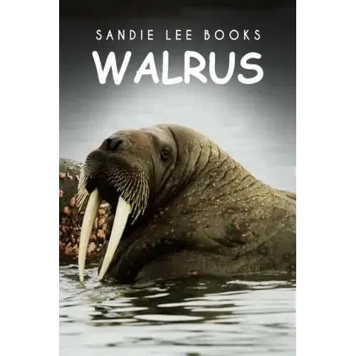 Walrus - Sandie Lee Books