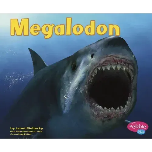 Megalodon