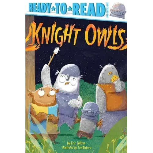 Knight Owls: Ready-To-Read Pre-Level 1