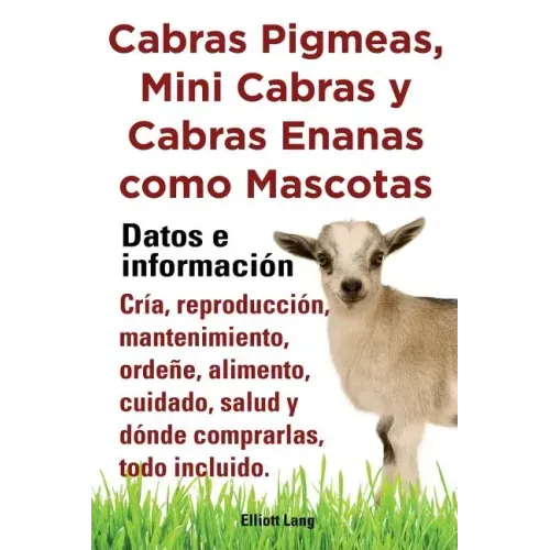 Cabras Pigmeas, Mini Cabras y Cabras Enanas Como Mascota. Datos E Informacion. Cria, Reprodu