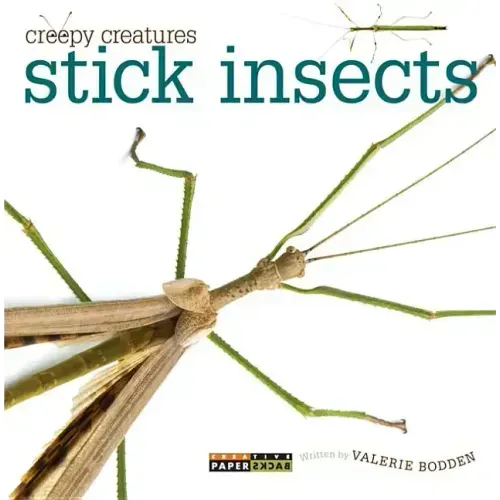 Stick Insects