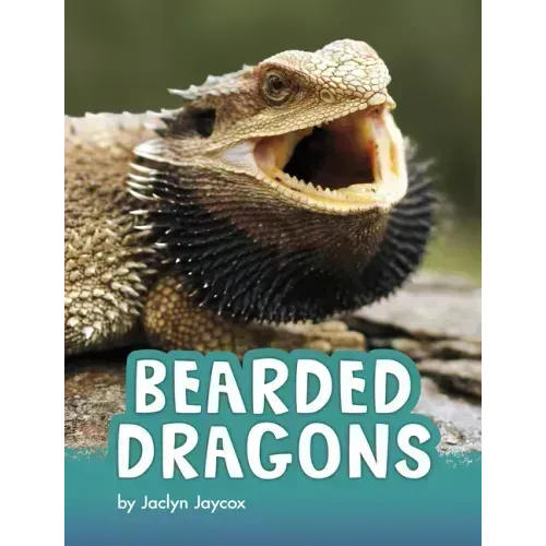 Bearded Dragons