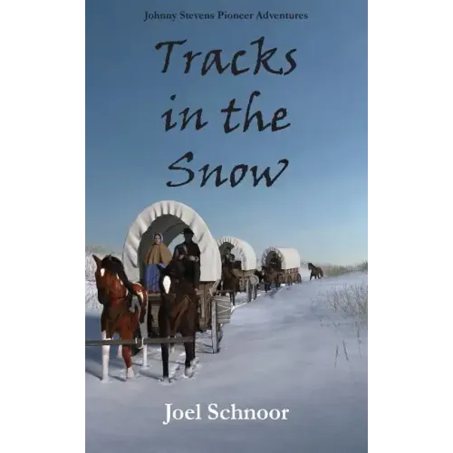 Tracks in the Snow