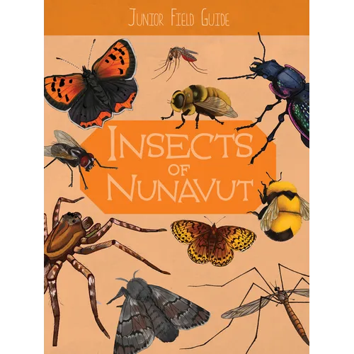 Junior Field Guide: Insects of Nunavut: English Edition