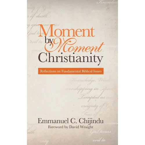 Moment by Moment Christianity: Reflections on Fundamental Biblical Issues