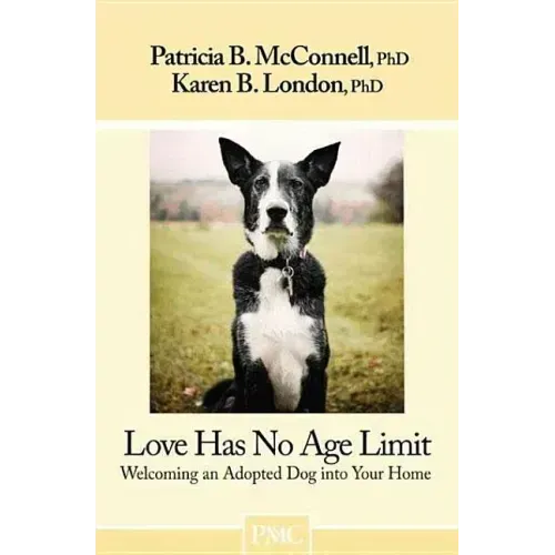 Love Has No Age Limit: Welcoming an Adopted Dog Into Your Home