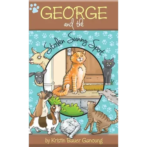 George and the Stolen Sunny Spot