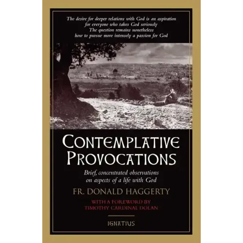 Contemplative Provocations: Brief, Concentrated Observations on Aspects of a Life with God