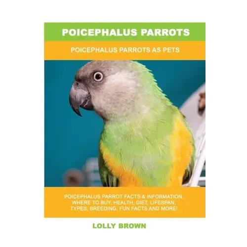 Poicephalus Parrots: Poicephalus Parrots As Pets