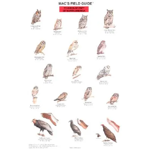Mac's Field Guides: North American Birds of Prey